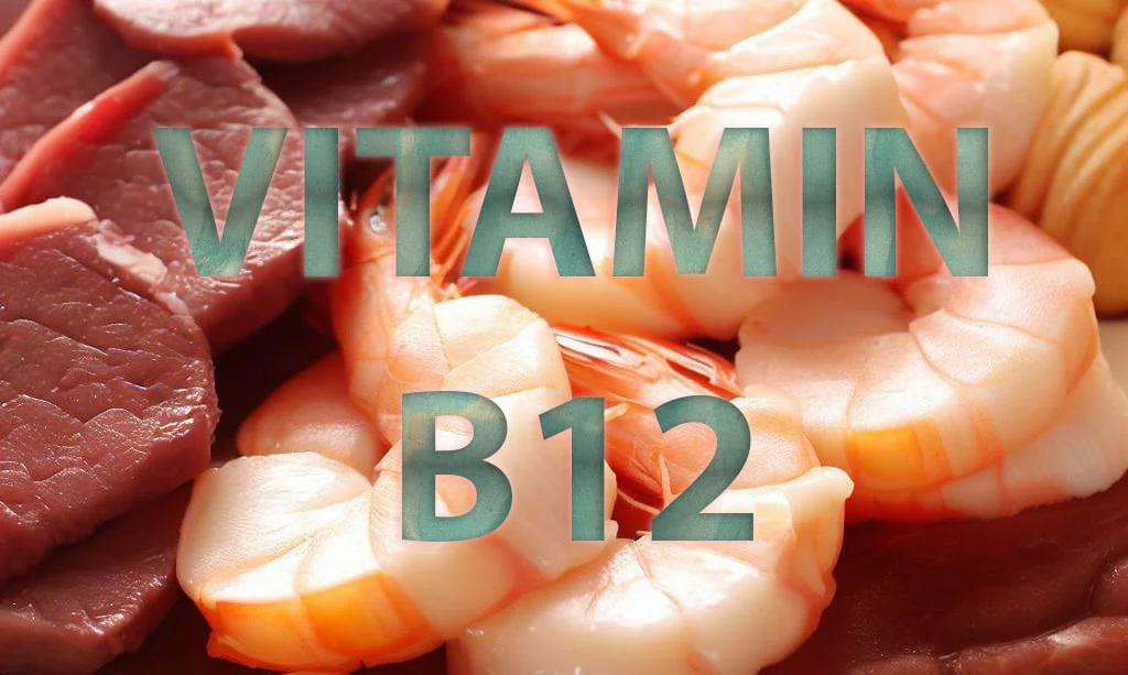 Thực Phẩm Vitamin B12