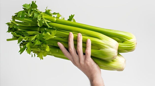 Rau Cần Tây (Celery hay Apium Graveolens)